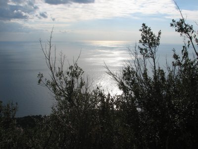 IMG_0080.JPG