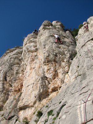 IMG_0081.jpg