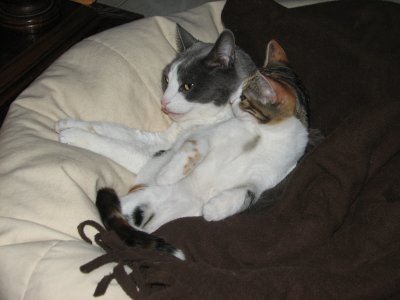 IMG_2513.JPG