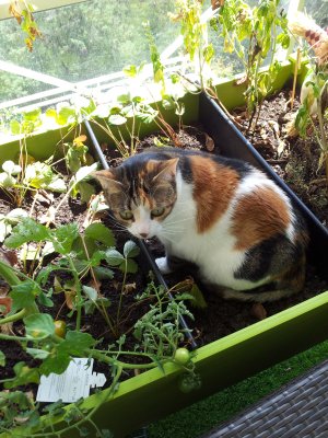 20140726_122615.jpg