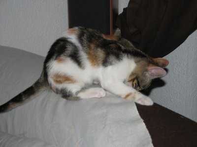 IMG_2356.JPG