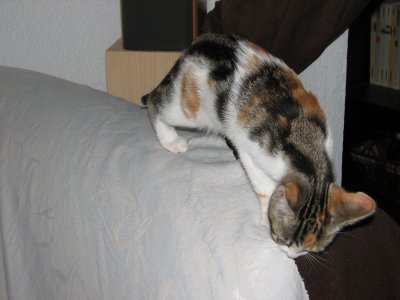 IMG_2357.JPG
