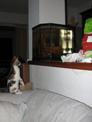 IMG_2364.JPG