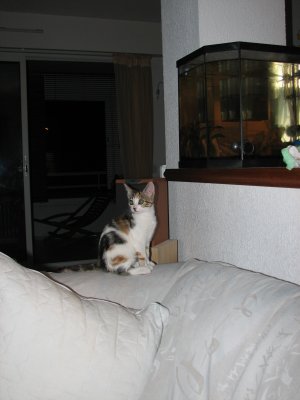 IMG_2365.JPG