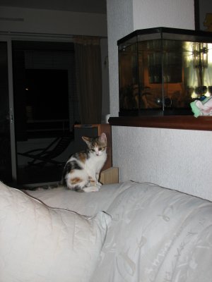 IMG_2366.JPG