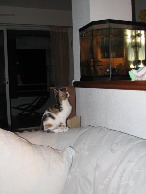 IMG_2367.JPG