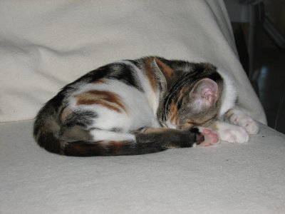 IMG_2416.JPG