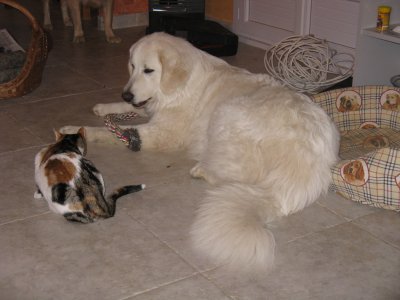 IMG_2926.JPG