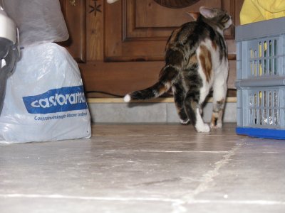 IMG_2930.JPG