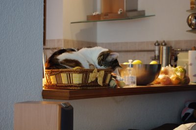 IMGP0704.JPG