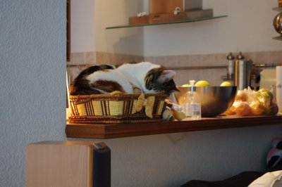 IMGP0705.JPG