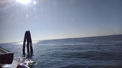 IMG_20170125_120735.jpg
