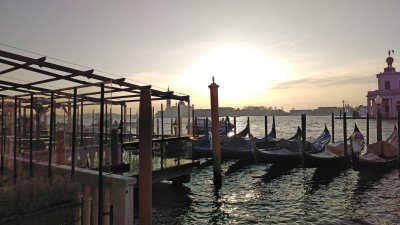 IMG_20170126_084150.jpg