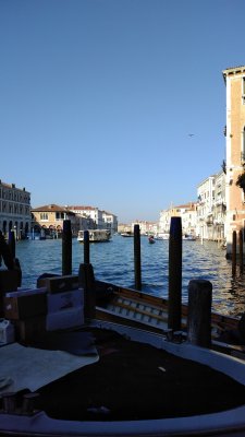 IMG_20170126_100249.jpg