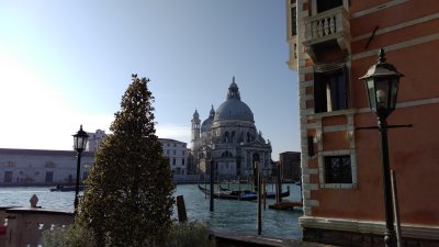 IMG_20170126_111007.jpg