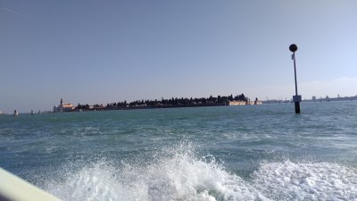 IMG_20170126_121246.jpg