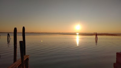 IMG_20170126_164131.jpg