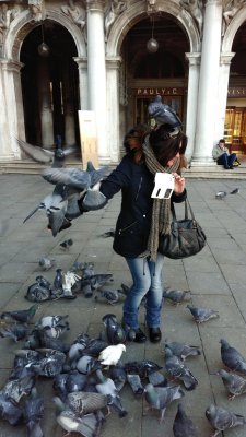 IMG_20170127_093228.jpg