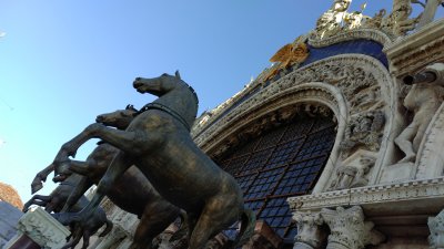 IMG_20170127_094828.jpg