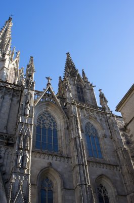 IMGP0430.jpg