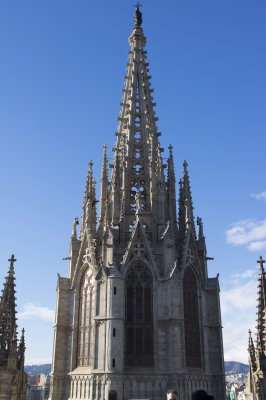 IMGP0441.jpg