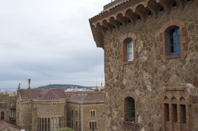 IMGP0307.jpg