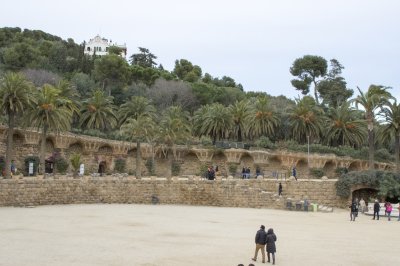 IMGP0311.jpg