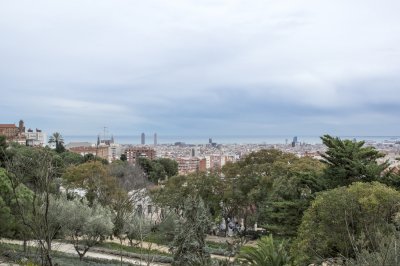 IMGP0316.jpg