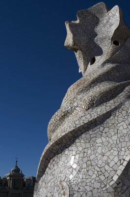IMGP0509.jpg