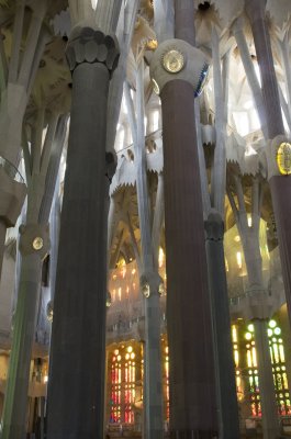 IMGP0370.jpg