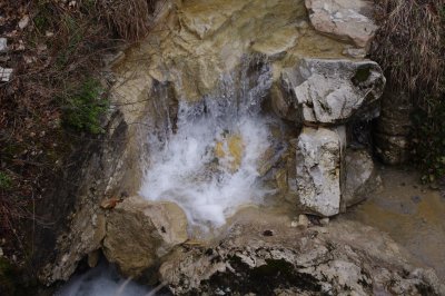 IMGP2352.JPG
