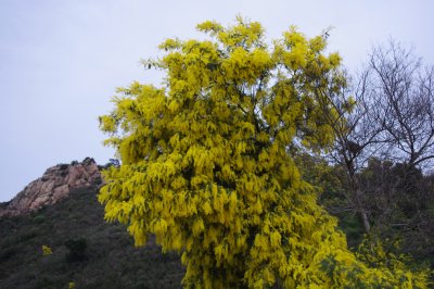 IMGP1776.JPG