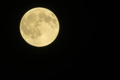 lune