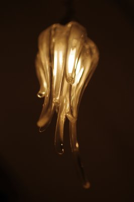 macro