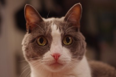 IMGP6176.JPG