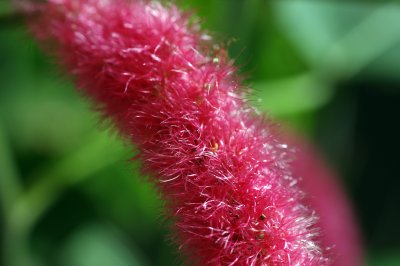 IMGP7997.JPG