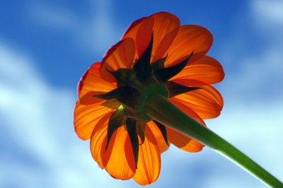 IMGP8076.JPG