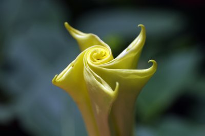 IMGP8093.JPG