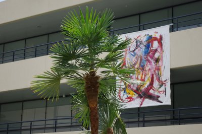 IMGP4398.JPG