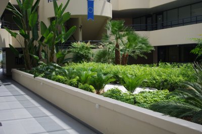 IMGP4400.JPG
