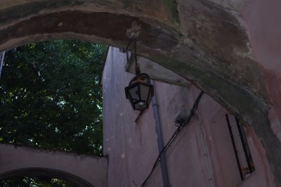 IMGP5690.JPG