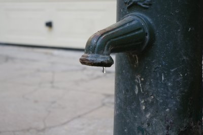 IMGP5712.JPG