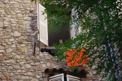 IMGP5743.JPG