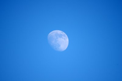 IMGP2821.JPG