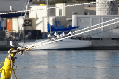 IMGP2833.JPG