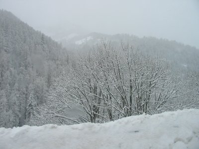 IMG_4527.JPG