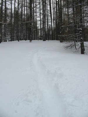 IMG_4532.JPG