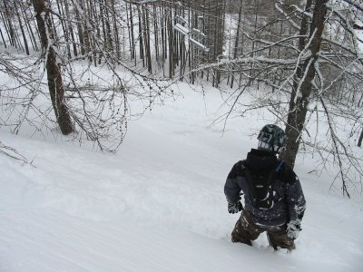 IMG_4534.JPG