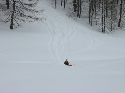 IMG_4538.JPG