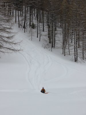 IMG_4539.JPG
